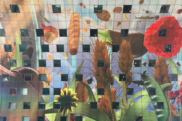 FCSI conference 2018 in Rotterdam